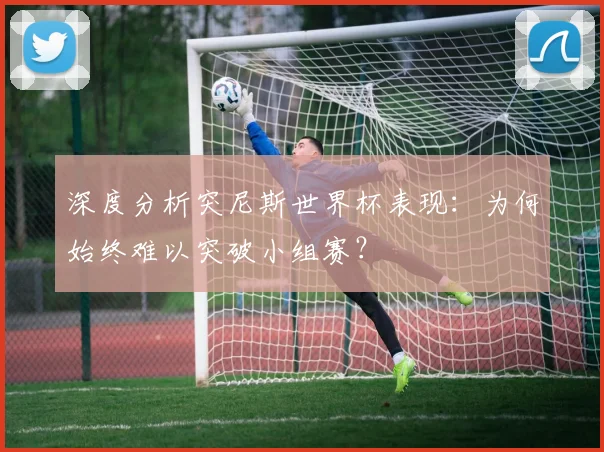 深度分析突尼斯世界杯表现：为何始终难以突破小组赛？