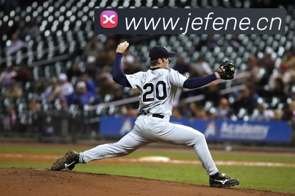 开云手机在线登录平台生态图