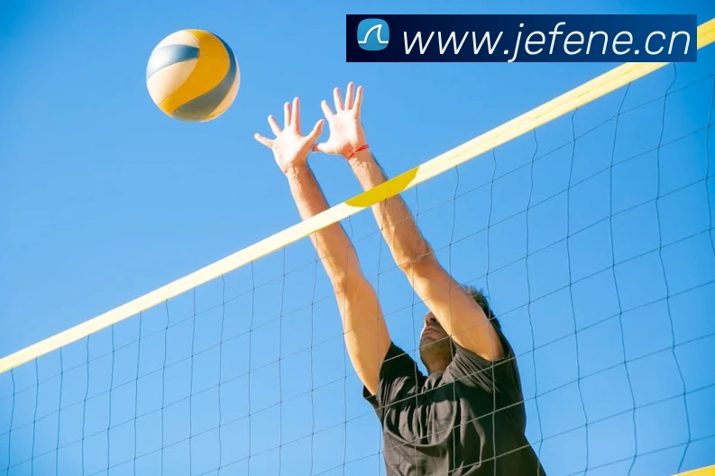 开云手机在线登录APP 封面图